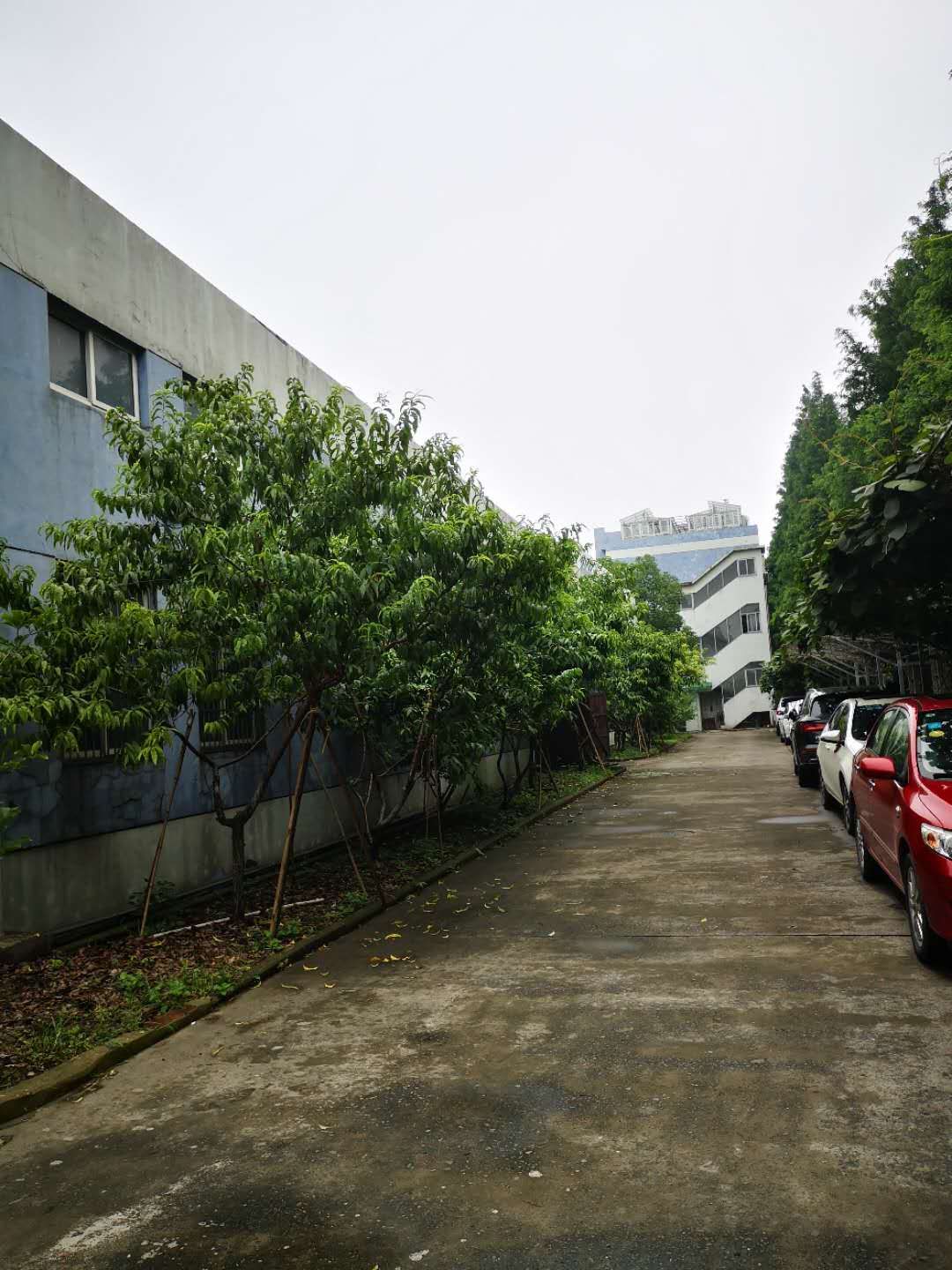 公司風(fēng)采